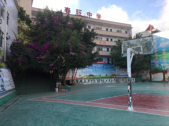 贵州兴义市顶效春旺中学-贵州兴义市顶效春旺中学2018