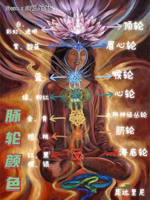 灵性知识2 | 人体7大脉轮及对应颜色指南96_龙美术馆西岸馆攻略