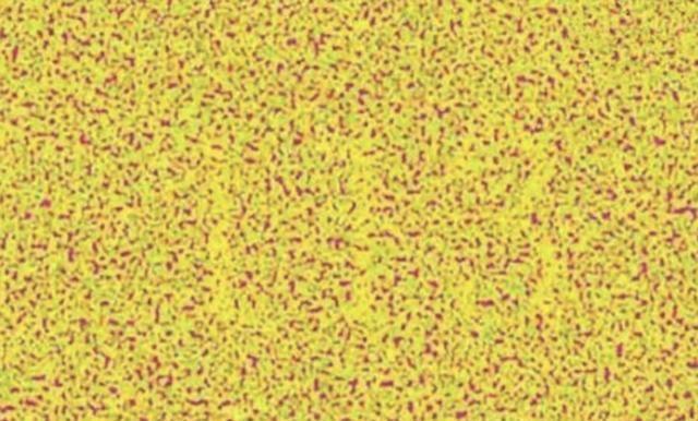 最新高难度色盲图,普通人一张也看不出来,全认出的能当飞行员!