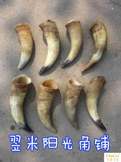 共184 件黄牛角原料相关商品