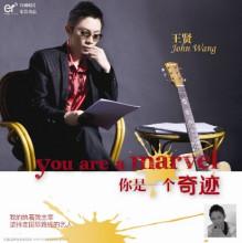 王贤