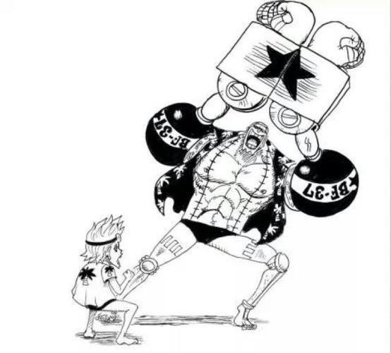 海贼王 弗兰奇