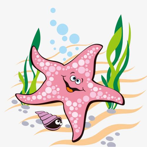 卡通海星图片模板素材免费下载,图片编号5118822_搜图123,www.