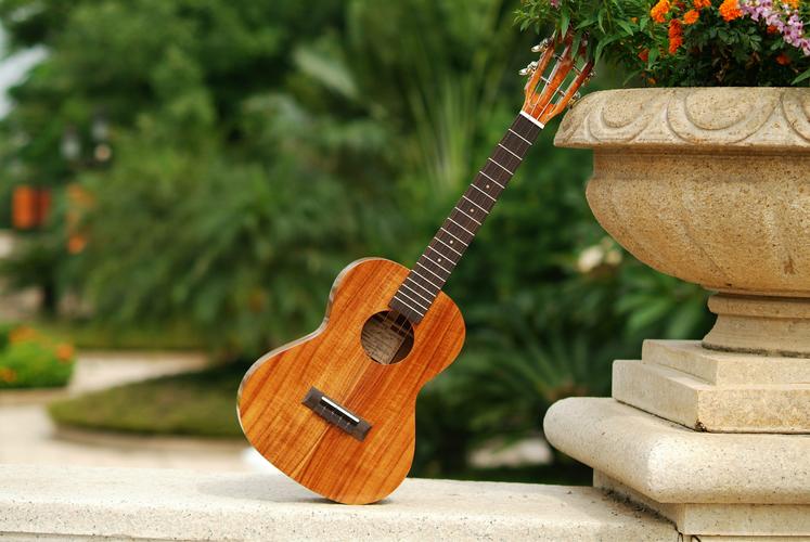 nc200nt200奈施23寸26尤克里里ukulele乌.