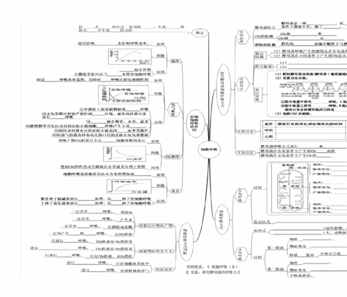 第3单元第2讲atp和细胞呼吸思维导图docx2页