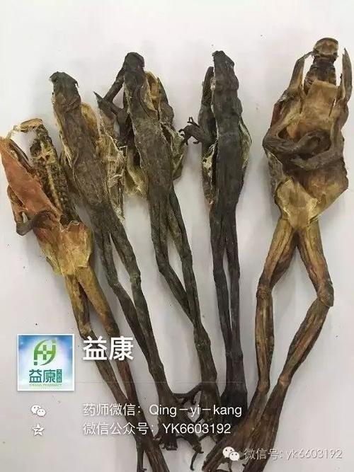 【东北雪蛙益肺止咳汤】~滋润调益靓汤!