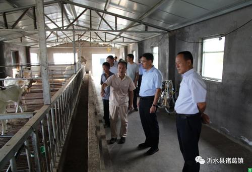 刘铭到诸葛镇现场办公