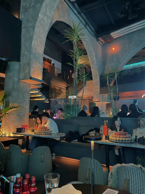 成都探店|tao lounge bar遗迹花园.