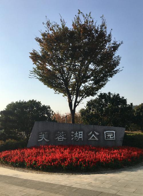 芙蓉湖公园初冬之景