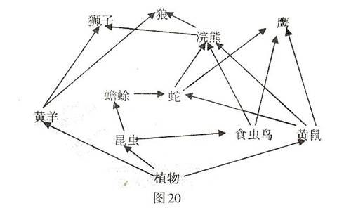 下图20是某草原生态