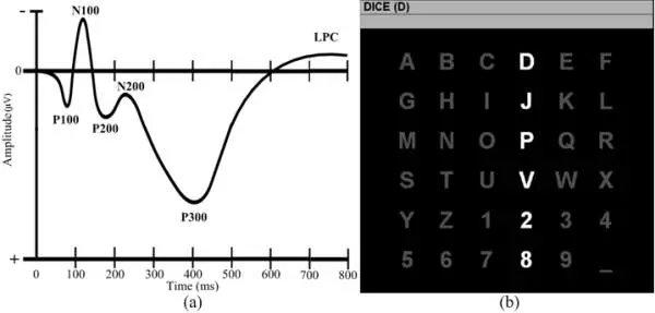 3)和稳态视觉诱发电位ssvep (图1.4)是其典型的代表.