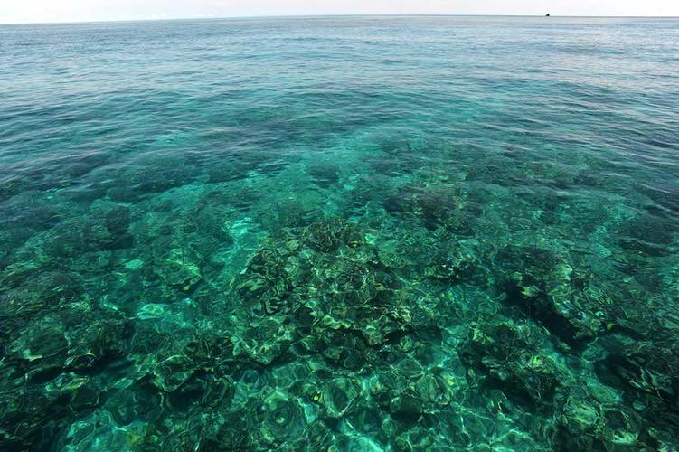 富饶的西沙群岛是个可爱的地方