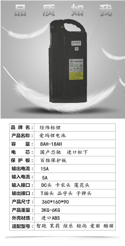 48v爱玛锂电瓶电动自行车电池48伏12ah炫乐2智跑电池通用电瓶