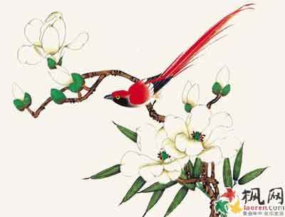 中国画技法:玉兰花