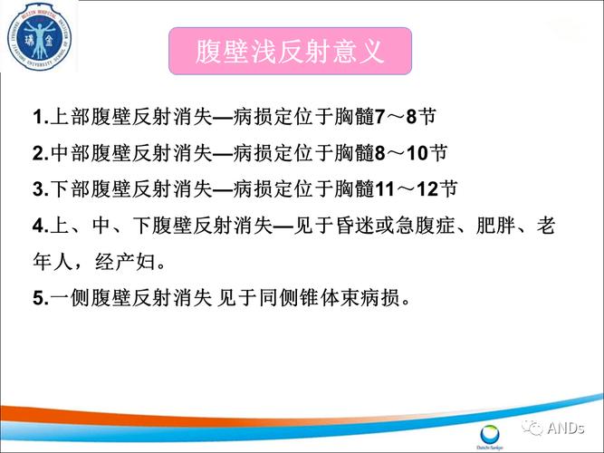 腹壁反射:检查时嘱病人仰卧,两下肢稍屈以使腹壁放松,然后用火柴杆或