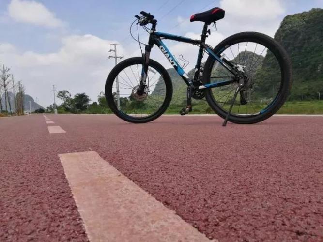 这是骑行爱好者们的福音,沿路都是美美的风景!