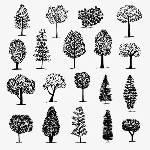 手绘黑白树木