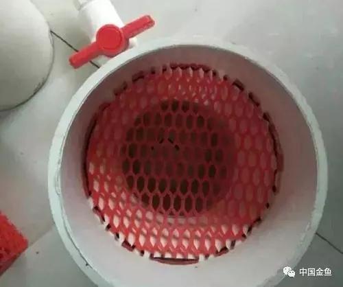 「diy创新」自制((鱼便分离器))