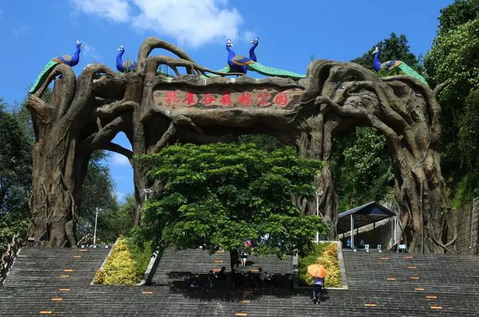 芒市孔雀谷景区申报两项世界纪录