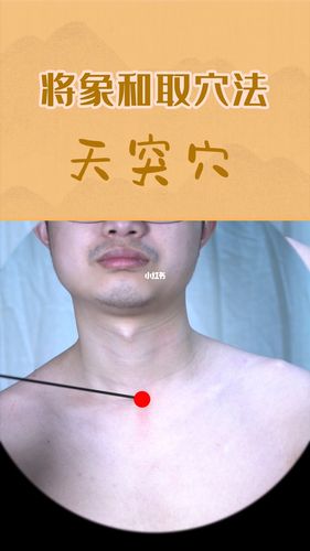 跟我学取穴:天突穴