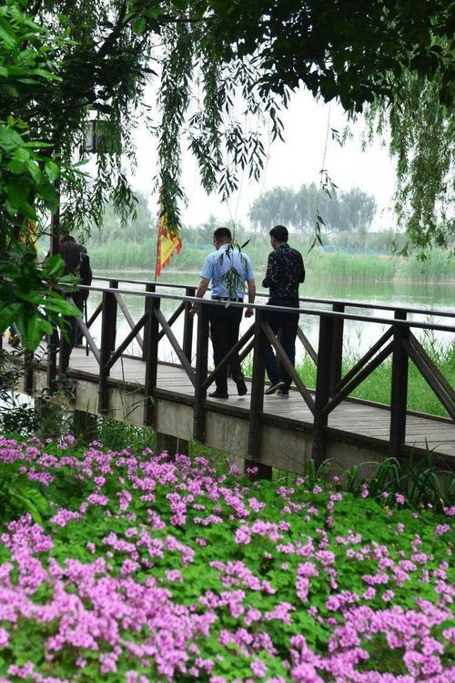 高邮的自然之地,界首芦苇荡湿地公园,一个可以散心的好地方!