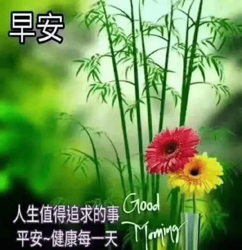 天天没烦恼日日好心情是人生中最大财富早安