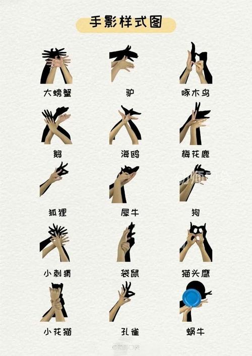 kiss baby微笑班––科学课《光和影子》