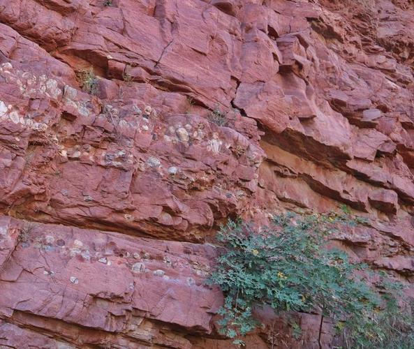 大块的砾岩山体,向我们展示着曾经的峡谷河床,而今耸立为山.