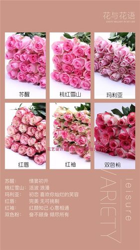 花店必备84种玫瑰大全花与花语