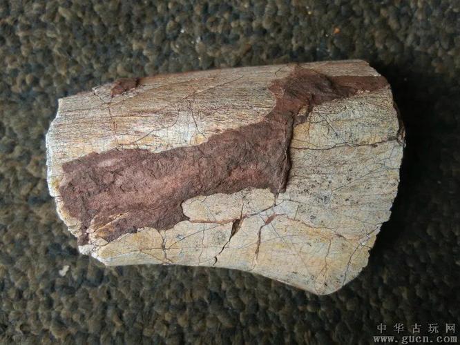 云南龙骨化石大小七块