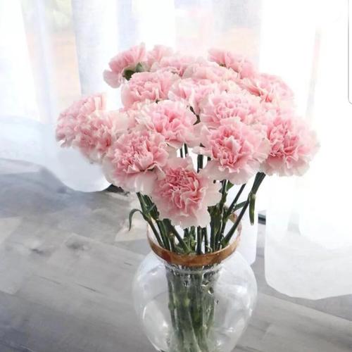 康乃馨鲜花云南基地地直批发香水百合玫瑰花家用水养插鲜花速递同城