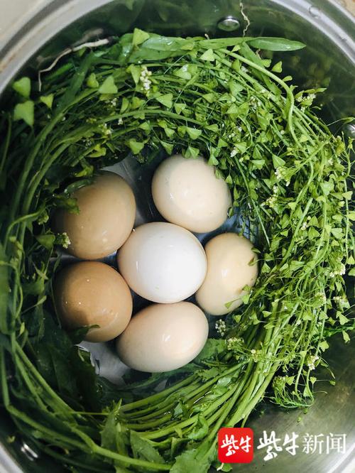 三月三,荠菜花煮鸡蛋