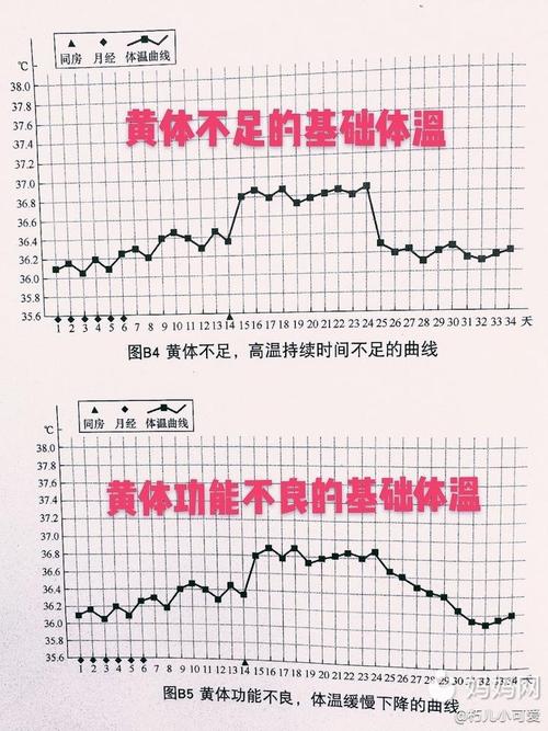 本人有多囊,备孕前开始测基础体温,一开始还以为是温度计的问题,因为