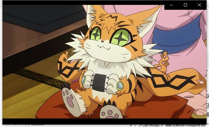 缅因猫兽也是充满了好奇心.