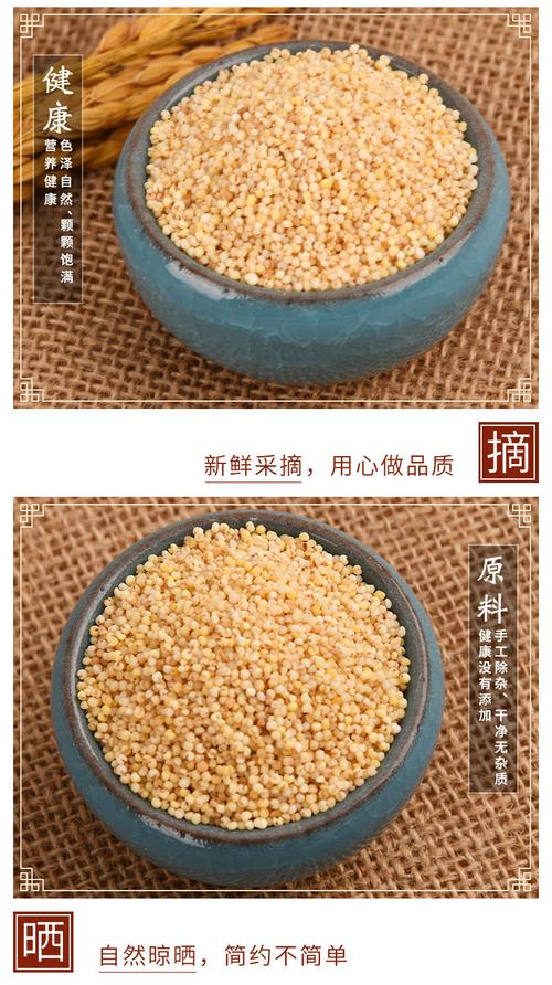 中药材秫米 干净新货北秫米批发黄米糯粟 黄糯保证质量