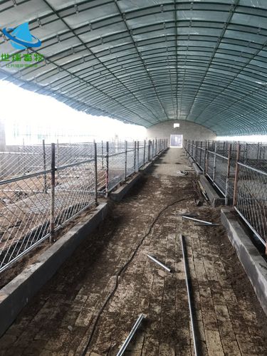 世瑞畜牧养羊大棚搭建绵羊养殖棚建设小羊羔保温棚安装