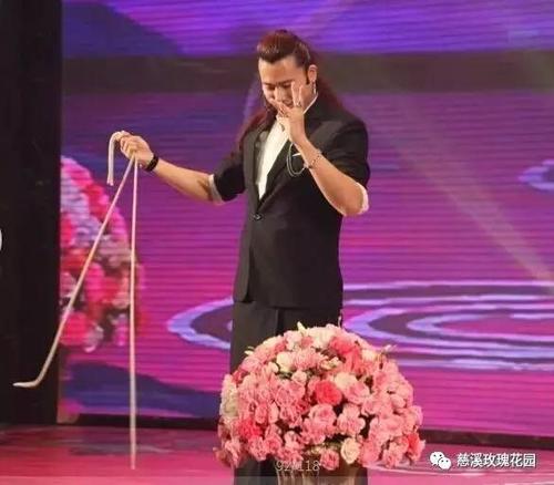 特邀多名央视人气嘉宾聚集慈溪玫瑰花园