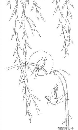 柳树姑娘怎么画呢_植物简笔画_简笔画大全