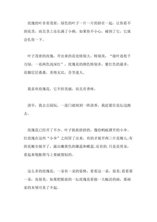 2021年观察玫瑰花的日记300字