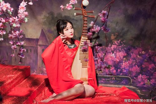 古风的琵琶小清浅