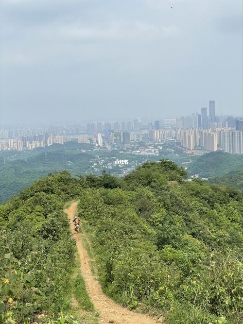 长沙市郊区最高山—谷山_高山_徒步_谷山森林公园自由