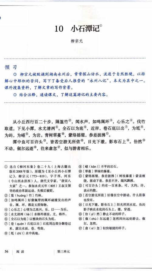 学习新课《小石潭记》