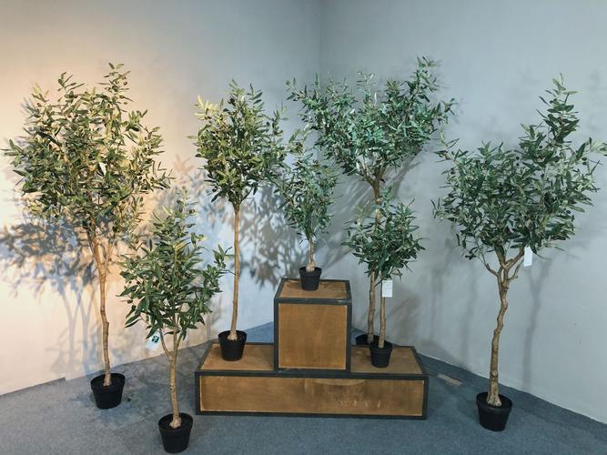 仿真绿植橄榄树大型植物树盆栽盆景油橄榄落地橱窗装饰摆件