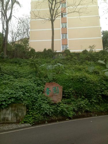 201903 西南大学校园小游-2