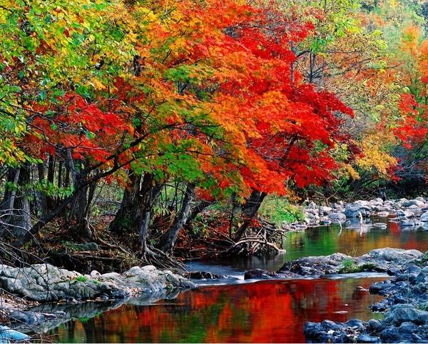 关门山看枫叶的最佳季节