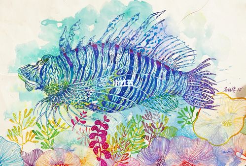 狮子鱼线描_线描_文化_绘画