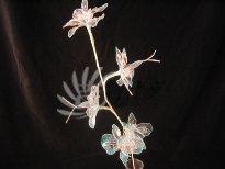 玻璃花黑色背景图片