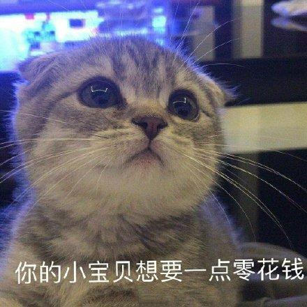 向父母讨钱的表情包合集妈给点钱呗