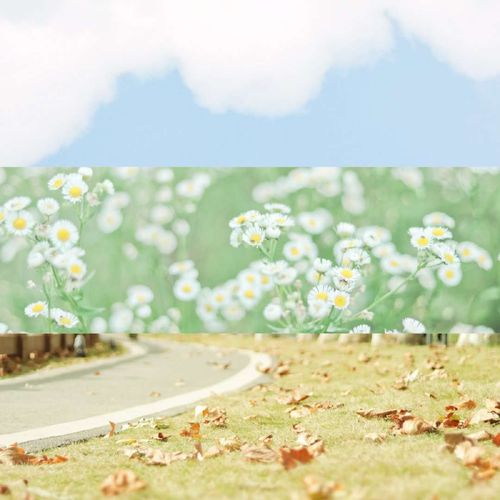 意境小清新唯美拼接图片 音影幻樱