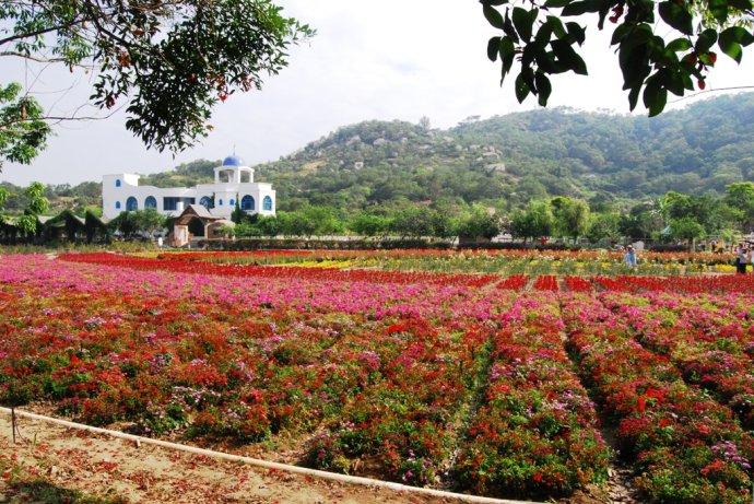 丹樱生态园自驾游(照片10张)